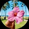 true_paradise